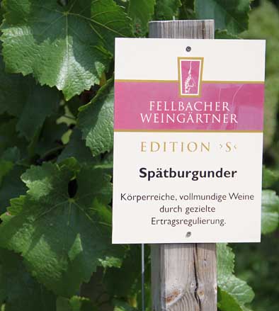 Rebzeilen und Weinberge geschickt nutzen für Gästeinformationen und, um auf sich aufmerksam zu machen wie hier in den Fellbacher Weinbergen 