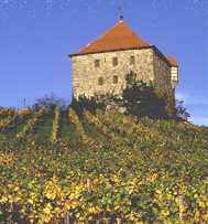 Turm der Burg Wildeck