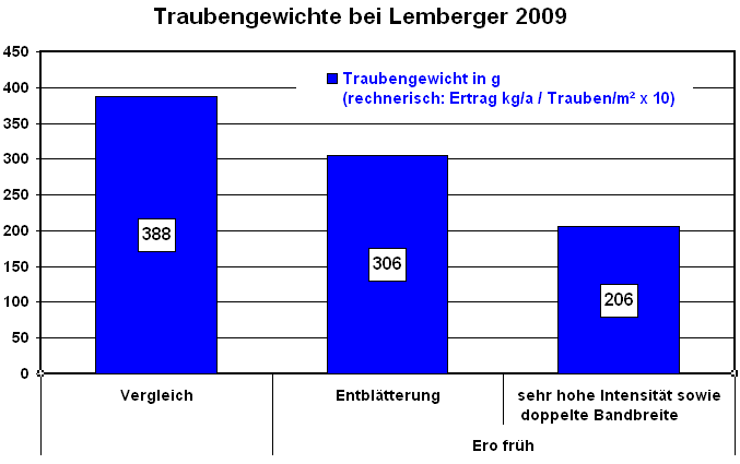 Traubengewichte bei Lemberger 2009