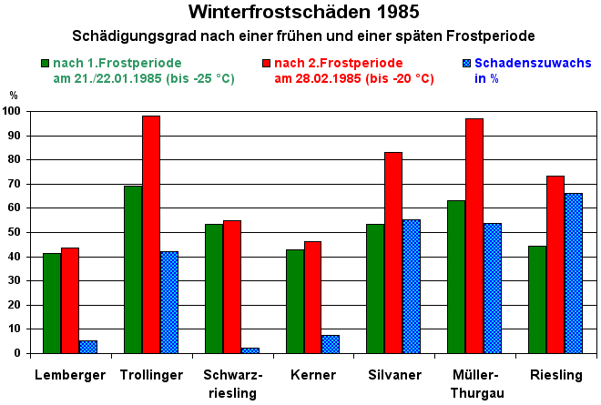 Schädigungsgrad nach 2 Frostperioden im Jahr 1985