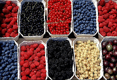 Abbildung 1: Beerensteige: Die Vielfalt des Beerenobstes ist enorm groß, ebenso der Gesundheitswert. Bezüglich der Anthocyangehalte und der antioxidativen Kapazität gilt, umso dunkler die Farbe, desto höher diese wertgebenden Inhaltsstoffe