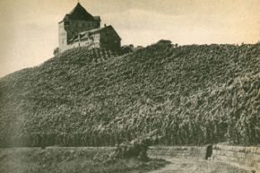 Burg Wildeck, alte Aufnahme aus den 1950er