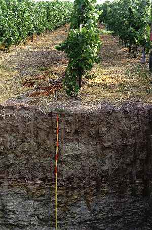 keuper.jpg (34275 Byte)