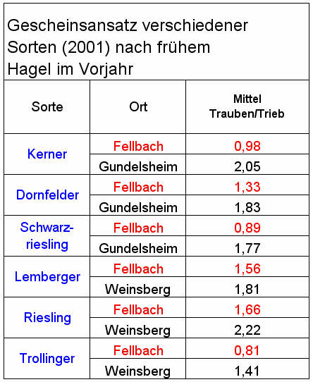 Gescheinsauszählungen nach Hagelschaden im Vorjahr