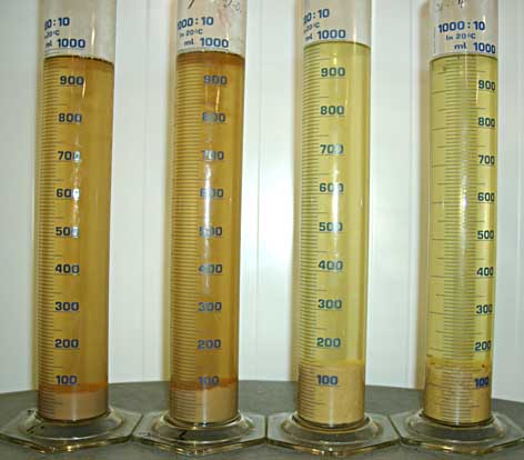Vorversuch zur Ermittlung der effektivsten Mostklärschönung mit unterschiedlichen Resultaten