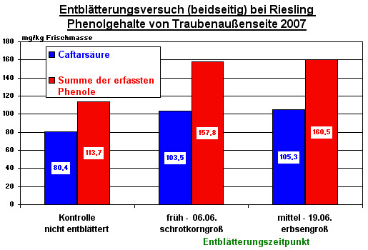 Phenolgehalte bei Riesling bei verschiedenen Entblätterungszeitpunkten