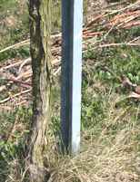 Zinkpfahl als Unterstützungsvorrichtung