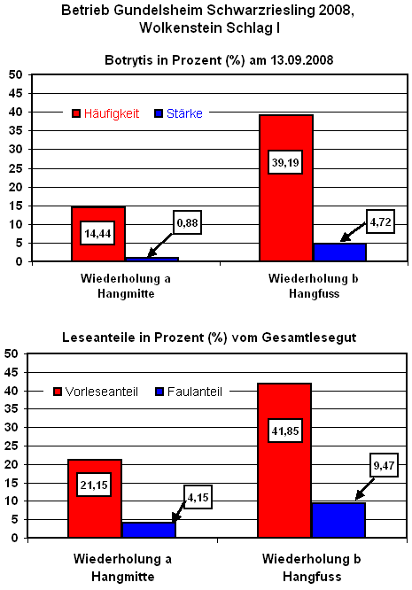 Botrytis- bzw. Vorlese- und Faulanteil bei Schwarzriesling in Abhängigkeit von der Lage im Weinberg