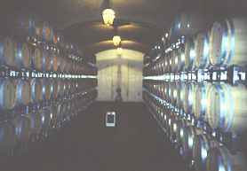 Blick in einen Barriquefasskeller