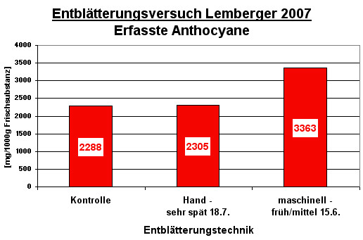 Anthocyangehalte in Lembergertrauben nach Entblätterungsmaßnahmen