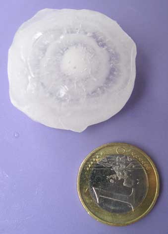 Hagelkorn vom 30.5.08. Der schichtförmige Aufbau ist deutlich zu erkennen.