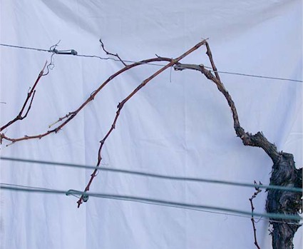 Biegeversuch nach dem Schnitt