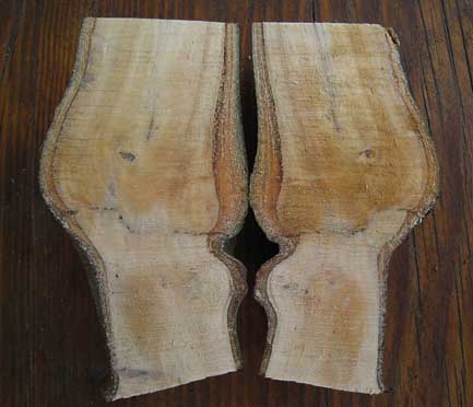 Sägeschnitt durch die Veredelungsstelle, Trennlinie zwischen Quittenunterlage (unten) und Edelsorte (oben), beginnend nach 2-3 Jahren Sägeschnitt durch die Veredelungsstelle, Trennlinie zwischen Quittenunterlage (unten) und Edelsorte (oben), beginnend nach 2-3 Jahren