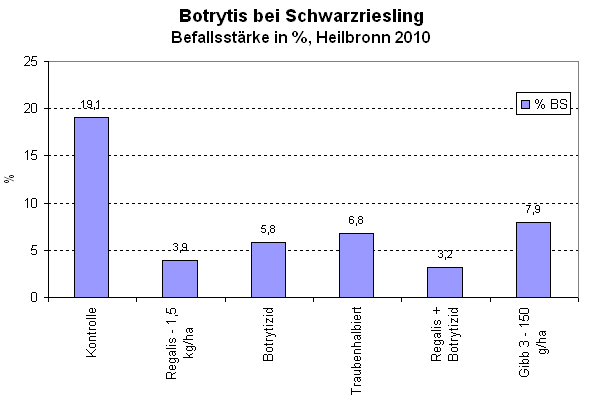 Abbildung 3: Befallsstärke durch Botrytis bei Schwarzriesling Abbildung 3: Befallsstärke durch Botrytis bei Schwarzriesling