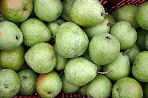 Orangenhäutigkeit bei Alexander Lucas