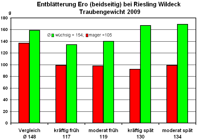 Entblätterung ERO - Traubengewicht 2009