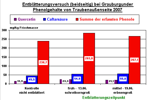 Phenolgehalte bei Grauburgunder bei verschiedenen Entblätterungszeitpunkten