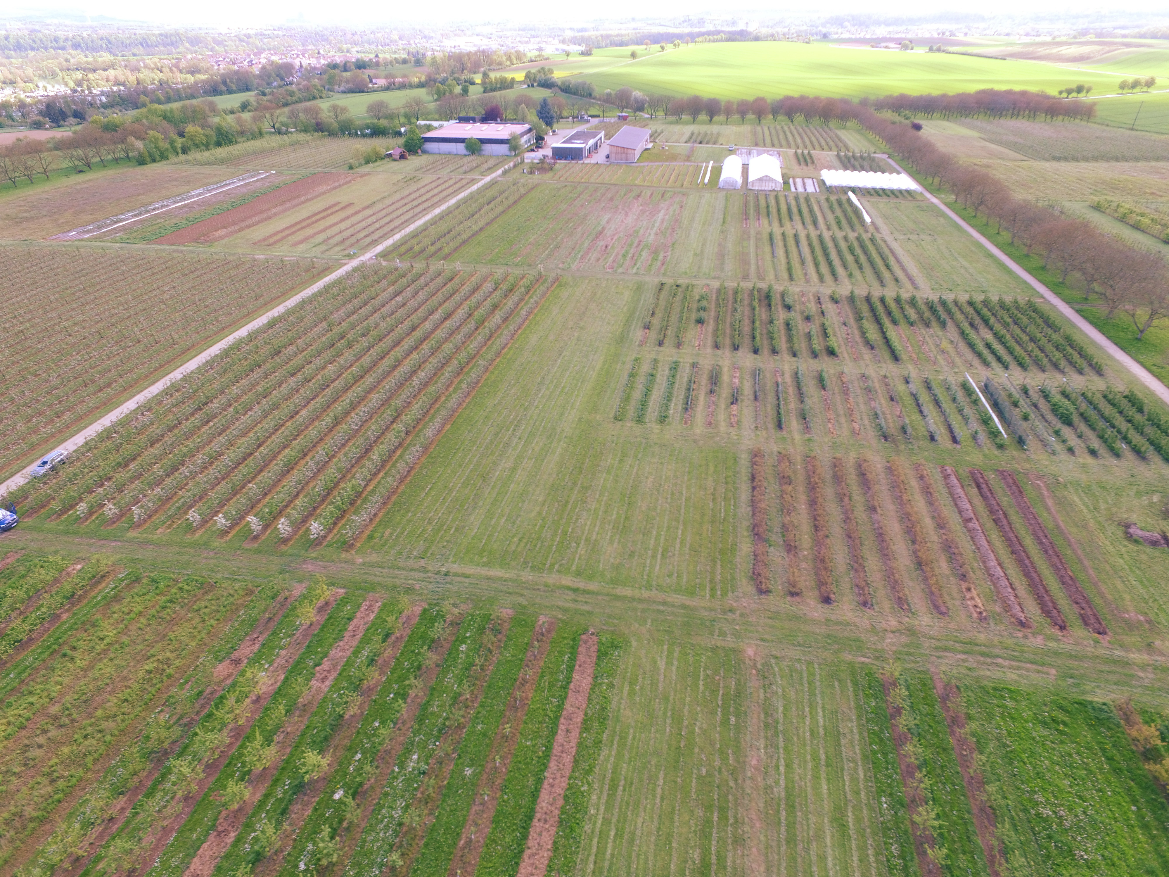 Luftbild der Versuchsanlagen des Staatlichen Obstversuchsgut Heuchlingen, im Hintergrund ist das Versuchsgut zu sehen.