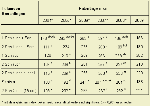 Rutenlänge bei der Himbeersorte Tulameen