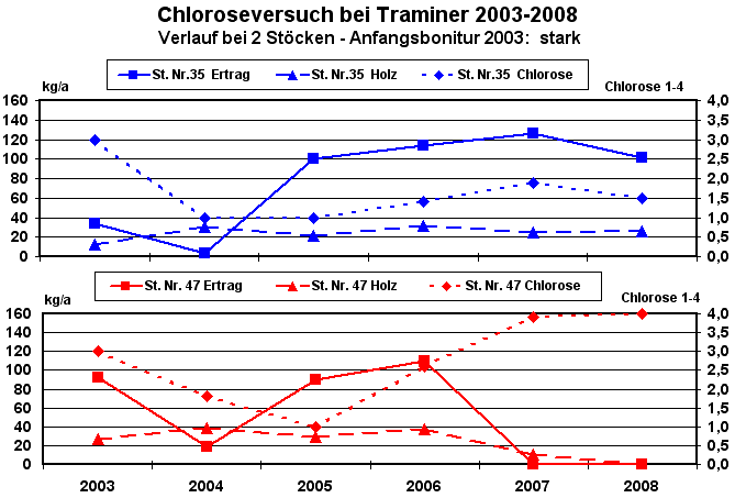 Chloroseversuch Traminer; Verlauf bei 2 Stöcken nach Anfangsbonitur "gesund"