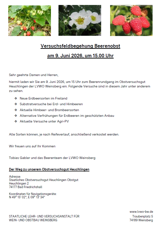 Veranstaltungsflyer mit Text
