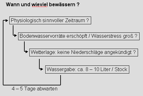 Abbildung 2: Vorbedingung erfüllt ? - Nur in der geeigneten Entwicklungsphase der Beere und bei tatsächlichem Wasserstress dient die Bewässerung der Qualitätsoptimierung