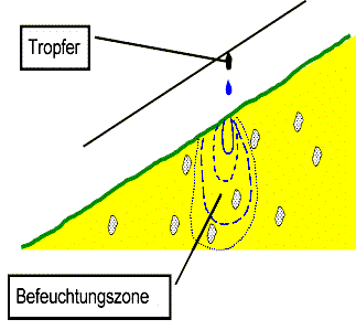 Ausbreitung des Wassers im Boden in Form einer Zwiebel