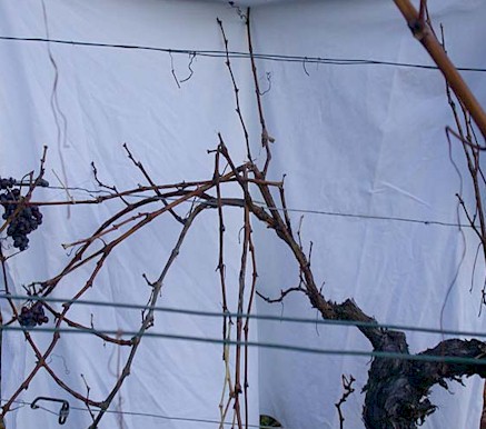 Biegeversuch vor dem Schnitt