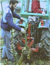 Roden mit der Rodezange