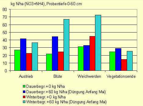 GesamtN.jpg (23288 Byte)