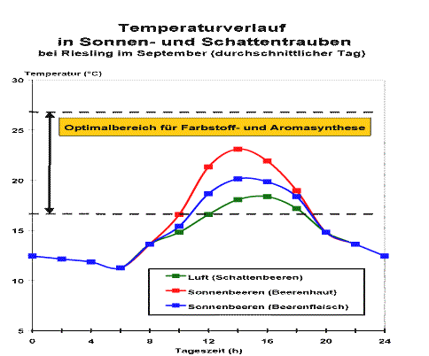 Quelle: Prof Dr. R. Schultz; Forschungsanstalt Geisenheim