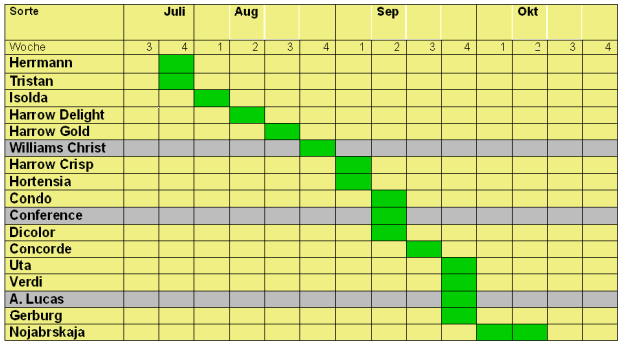 Reifezeit verschiedener Birnensorten