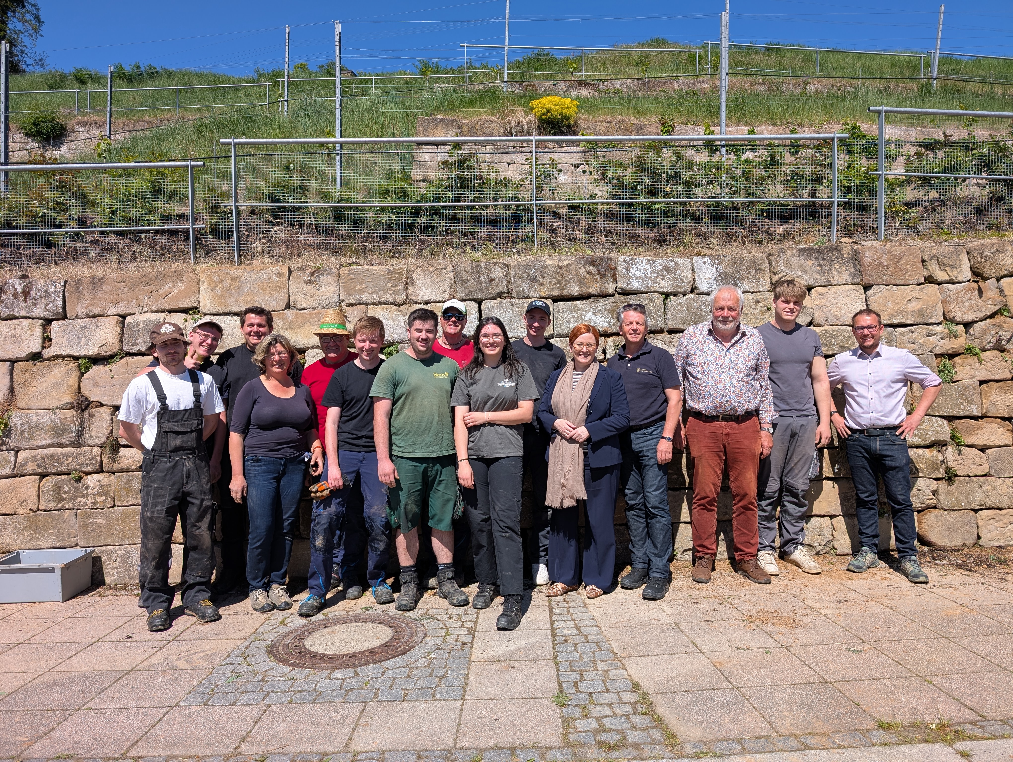 Gruppe vor bepflanzter Trockenmauer im Weinberg. 