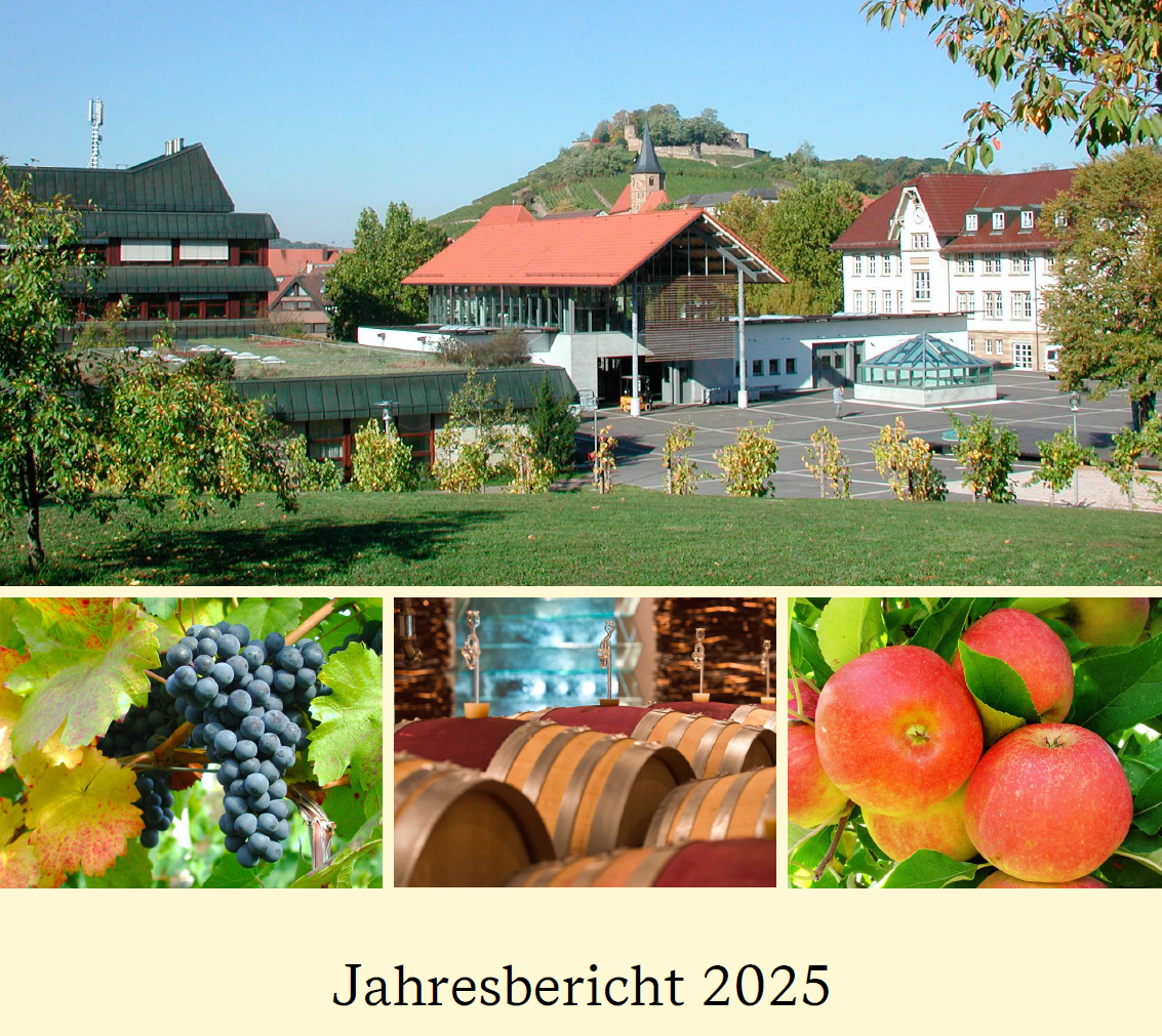 Das Cover des Jahresberichts 2025 der LVWO Weinsberg
