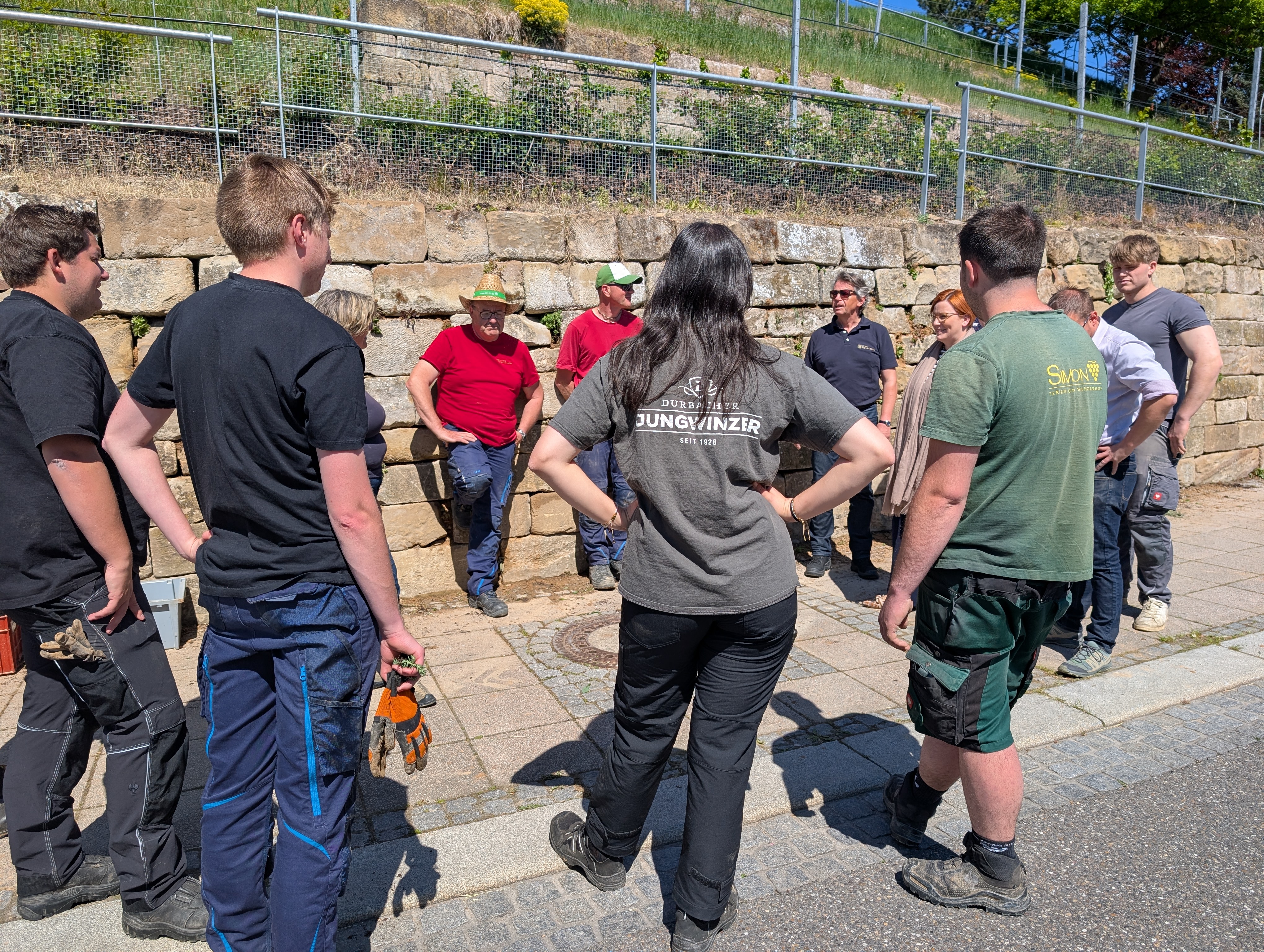 Studierende besprechen Pflanzaktion vor der Trockenmauer. 