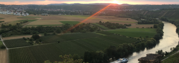 Neckarschleife