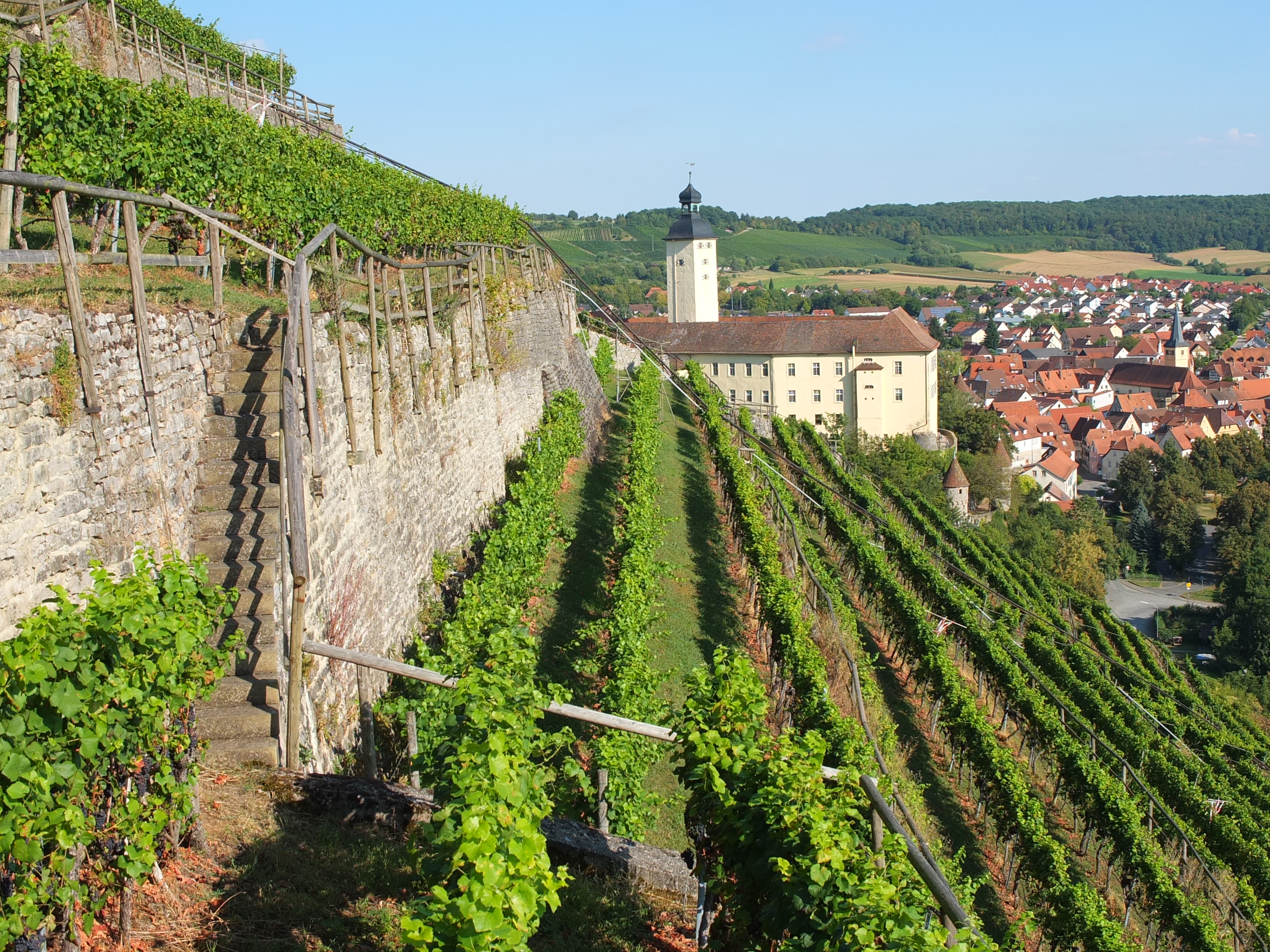 Im Vordergrund befinden sich terrassierte Weinberge, im Hintergrund das Schloss Gundelsheim. 