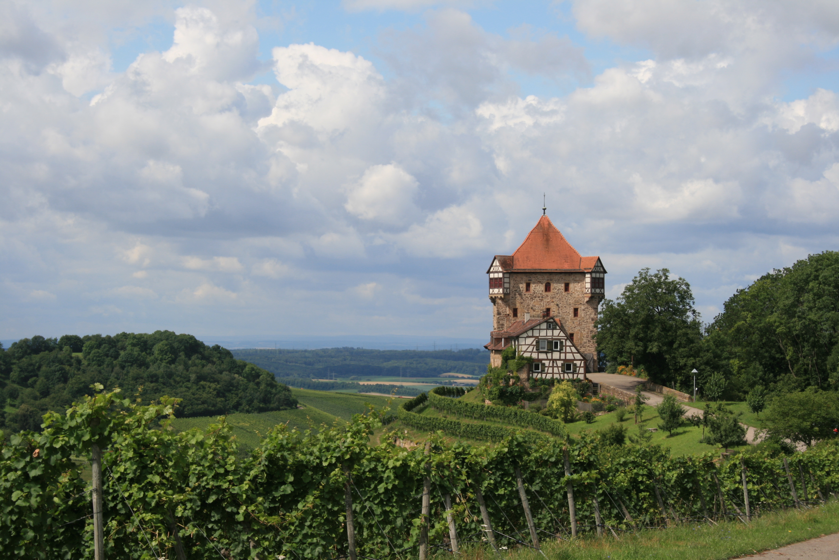 Burg Wildeck in Absatt, umgeben von Weinbergen.