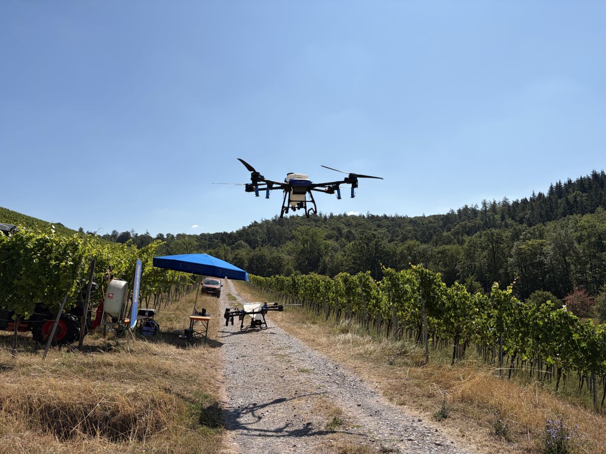 Die Drohnenvorführungen zeigten moderne Techniken des Pflanzenschutzes im Weinbau.
